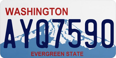 WA license plate AYQ7590