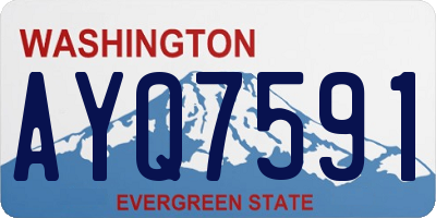 WA license plate AYQ7591