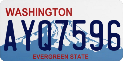 WA license plate AYQ7596