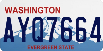 WA license plate AYQ7664