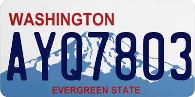 WA license plate AYQ7803