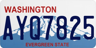 WA license plate AYQ7825