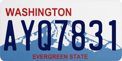 WA license plate AYQ7831