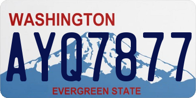 WA license plate AYQ7877
