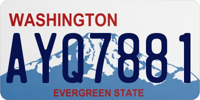 WA license plate AYQ7881