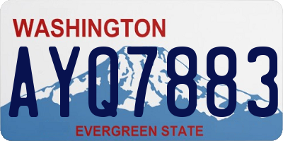 WA license plate AYQ7883