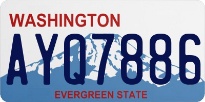 WA license plate AYQ7886