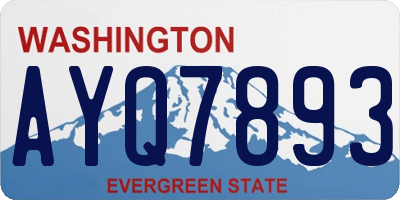 WA license plate AYQ7893