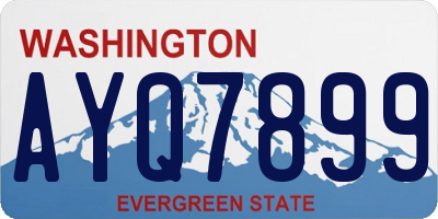 WA license plate AYQ7899