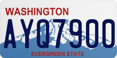 WA license plate AYQ7900