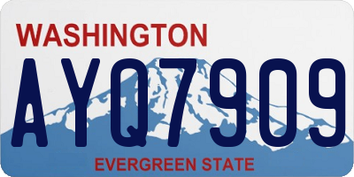 WA license plate AYQ7909