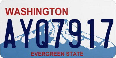WA license plate AYQ7917