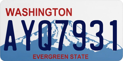 WA license plate AYQ7931