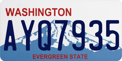 WA license plate AYQ7935