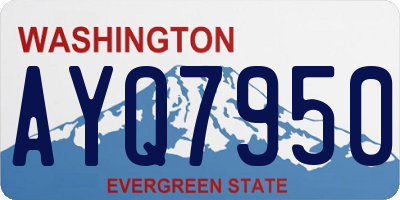 WA license plate AYQ7950