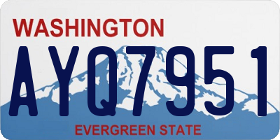 WA license plate AYQ7951