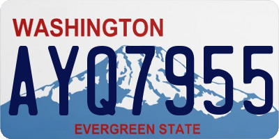 WA license plate AYQ7955