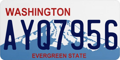 WA license plate AYQ7956