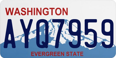 WA license plate AYQ7959