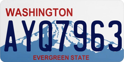 WA license plate AYQ7963