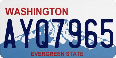 WA license plate AYQ7965