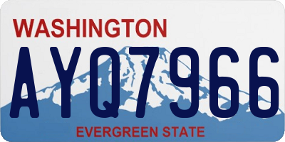 WA license plate AYQ7966