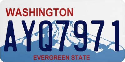 WA license plate AYQ7971