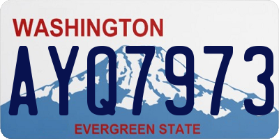 WA license plate AYQ7973
