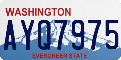 WA license plate AYQ7975
