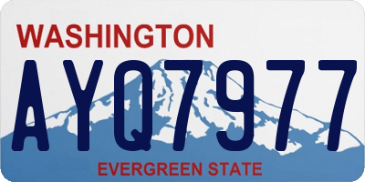 WA license plate AYQ7977