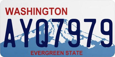 WA license plate AYQ7979