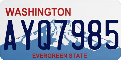 WA license plate AYQ7985
