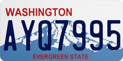 WA license plate AYQ7995