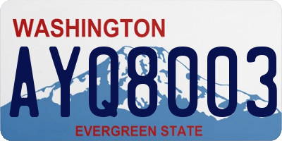 WA license plate AYQ8003