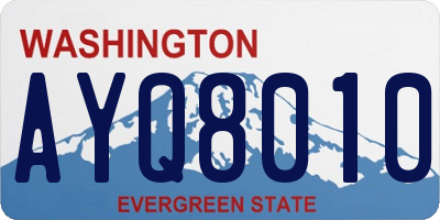 WA license plate AYQ8010