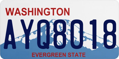 WA license plate AYQ8018
