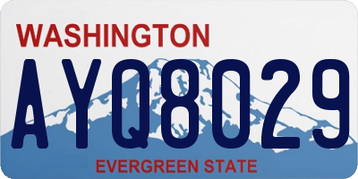 WA license plate AYQ8029