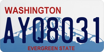 WA license plate AYQ8031