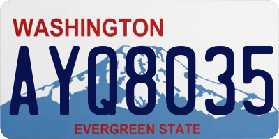 WA license plate AYQ8035