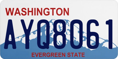 WA license plate AYQ8061