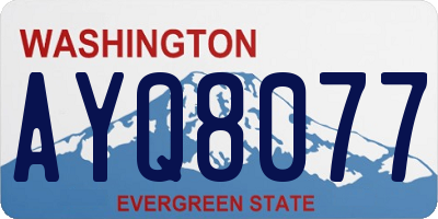 WA license plate AYQ8077