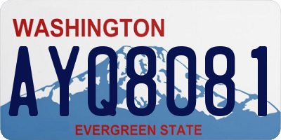 WA license plate AYQ8081