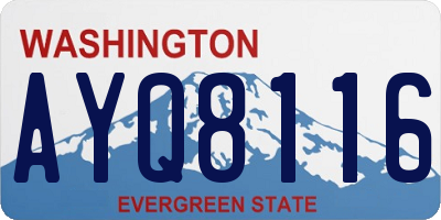 WA license plate AYQ8116