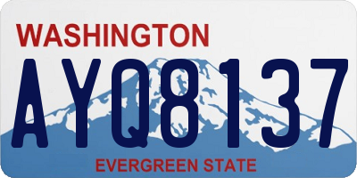 WA license plate AYQ8137