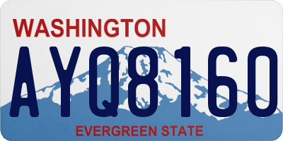 WA license plate AYQ8160