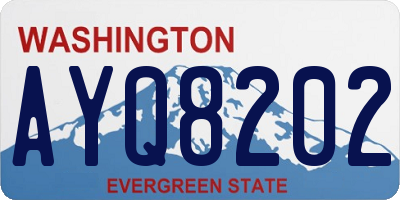 WA license plate AYQ8202