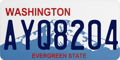 WA license plate AYQ8204