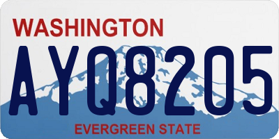WA license plate AYQ8205
