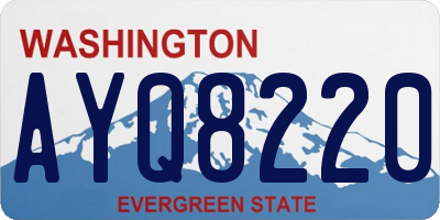WA license plate AYQ8220