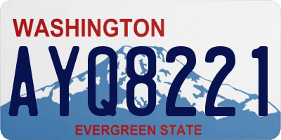 WA license plate AYQ8221
